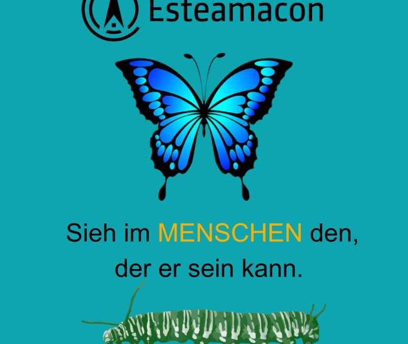 🦋 Kannst Du den Schmetterling schon sehen, wenn Du die Raupe betrachtest? 🦋