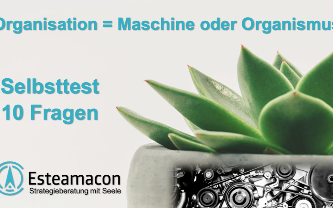 🤓 Verstehe und führe eine Organisation wie einen Organismus. 🌿